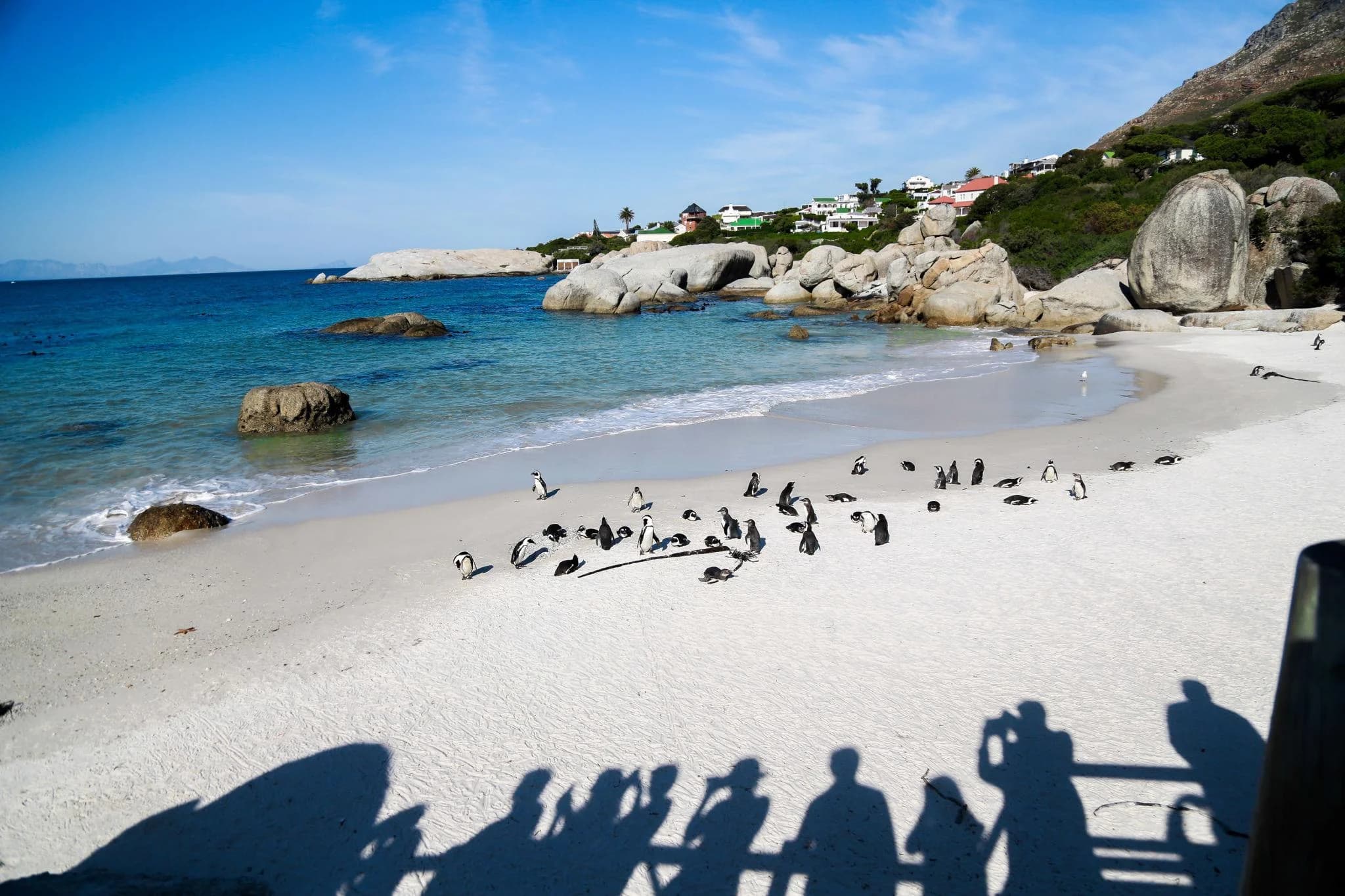 South Africa highlight 2