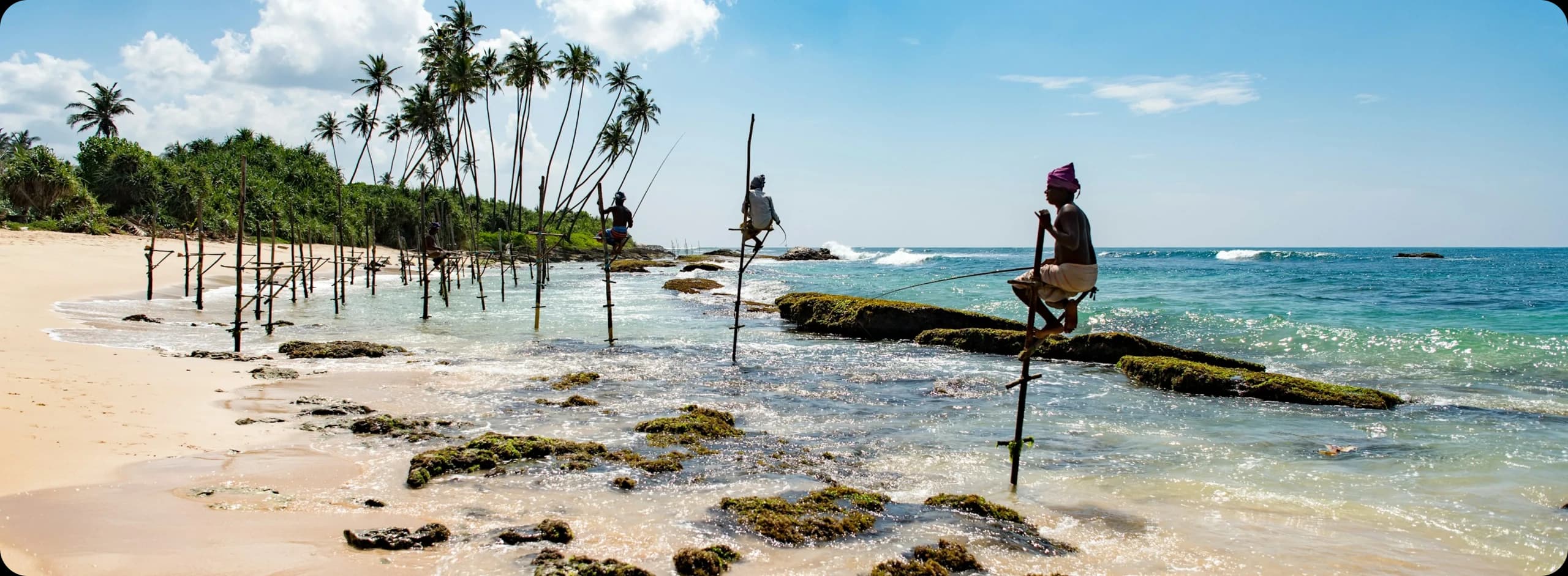 Sri Lanka coastline with stilt fishermen